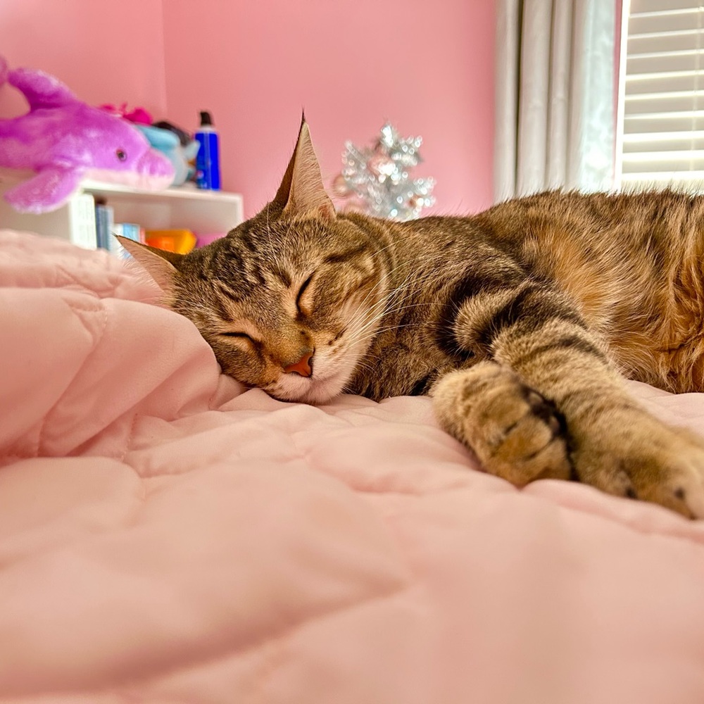 Meet your Posher, Mariah